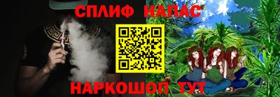 jwh Бийск