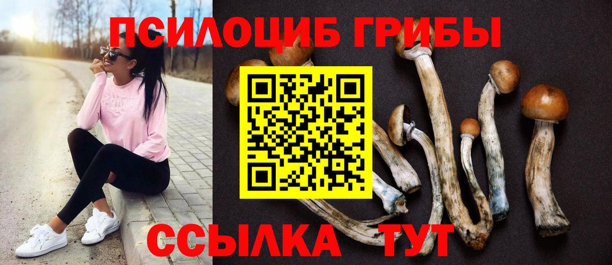 Псилоцибиновые грибы мицелий  Галлюциногенные грибы мицелий  Выкса  Вход с VPN 